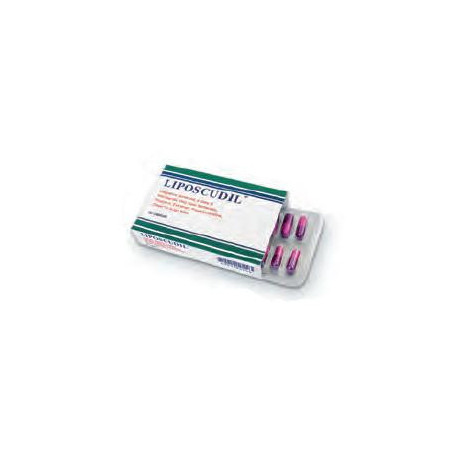 LIPOSCUDIL 30 CAPSULE