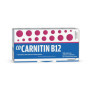 COCARNITIN B12 500 MG/2 MG POLVERE E SOLVENTE PER SOSPENSIONE ORALE