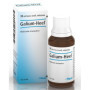 HEEL GALIUM GOCCE 30 ML