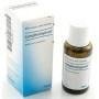 HEEL LYMPHOMYOSOT GOCCE 30 ML