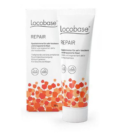 LOCOBASE REPAIR 100 G