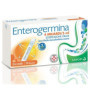 ENTEROGERMINA 4 MILIARDI / 5 ML SOSPENSIONE ORALE