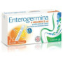 ENTEROGERMINA 4 MILIARDI / 5 ML SOSPENSIONE ORALE
