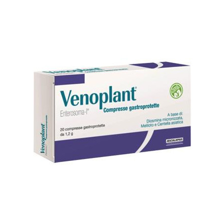 VENOPLANT 20 COMPRESSE