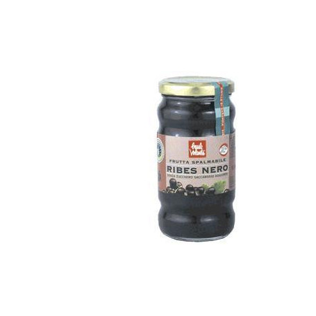 FRUTTA SPALMABILE RIBES NERO 280 G