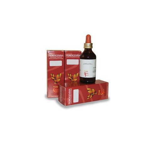 FIBROCENTO FIORDIGEMMA 100 ML