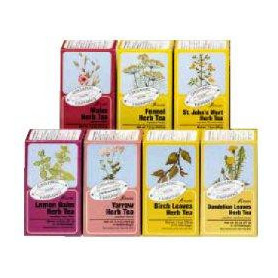 IPERICO TISANA 15 FILTRI BIO