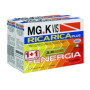 MGK VIS RICARICA PLUS 14 BUSTINE + 14 BUSTINE