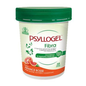 PSYLLOGEL FIBRA ARANCE ROSSE VASO 170 G