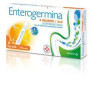 ENTEROGERMINA 4 MILIARDI / 5 ML SOSPENSIONE ORALE