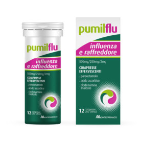 PUMILFLU INFLUENZA E R*12CPR