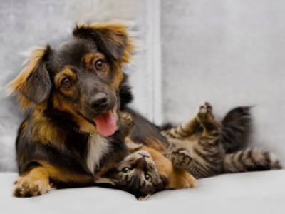 TORNARE IN FORMA DOPO LE FESTE