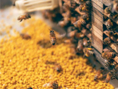 LA SALUTE DEL CUORE L’IMPORTANZA DELLA PREVENZIONE